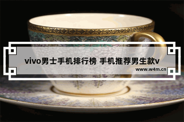 vivo男士手机排行榜 手机推荐男生款vivo