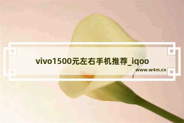 vivo1500元左右手机推荐_iqooneo5和vivos16哪个好