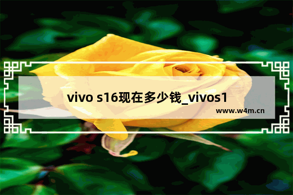 vivo s16现在多少钱_vivos16官网售价