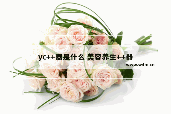 yc++器是什么 美容养生++器