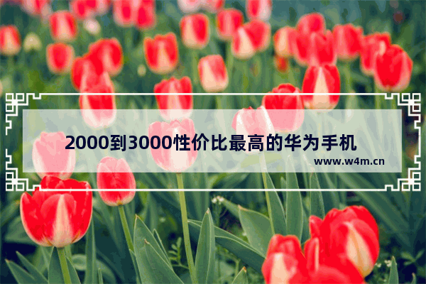 2000到3000性价比最高的华为手机 华为两千到三千手机推荐哪款