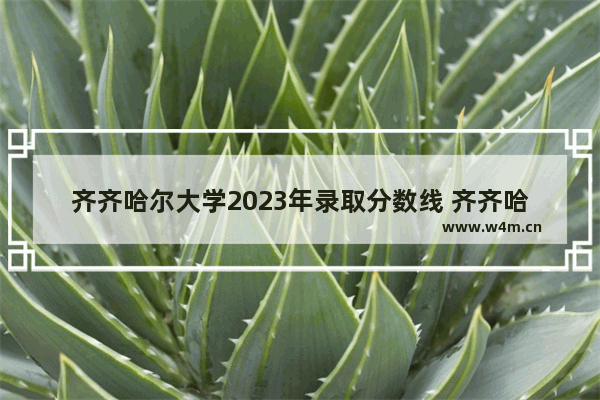 齐齐哈尔大学2023年录取分数线 齐齐哈尔近几年高考分数线