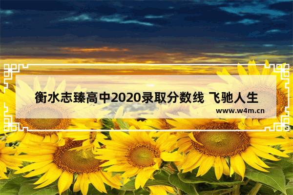 衡水志臻高中2020录取分数线 飞驰人生高考分数线怎么算