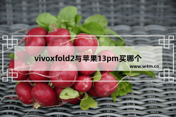 vivoxfold2与苹果13pm买哪个好 vivo手机推荐适合女生高颜值吗苹果