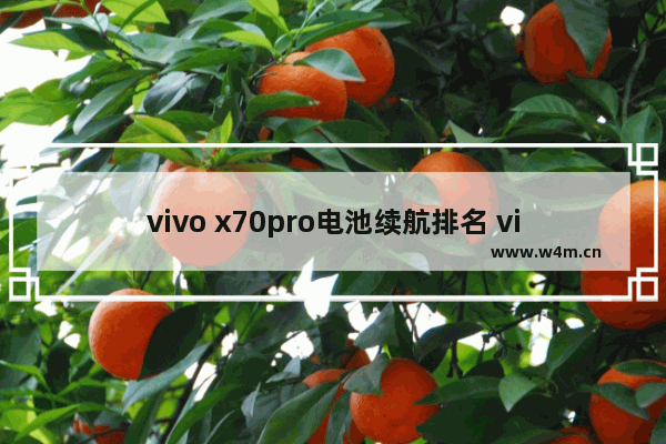 vivo x70pro电池续航排名 vivo电池耐用手机推荐排行