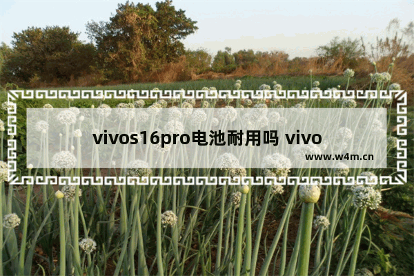 vivos16pro电池耐用吗 vivo电池耐用手机推荐哪款