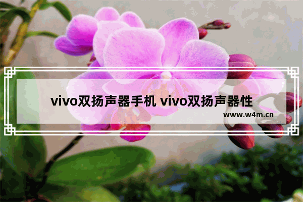 vivo双扬声器手机 vivo双扬声器性价比手机推荐