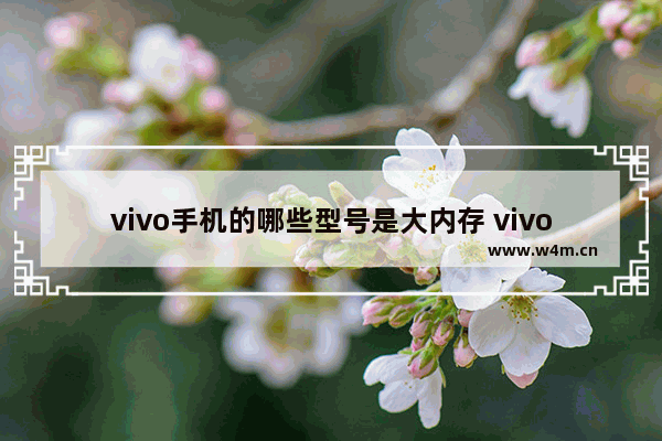 vivo手机的哪些型号是大内存 vivo颜值高大容量手机推荐