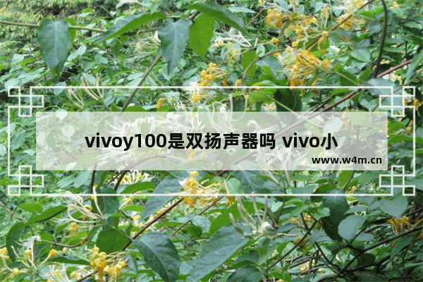 vivoy100是双扬声器吗 vivo小屏双扬声器性价比手机推荐