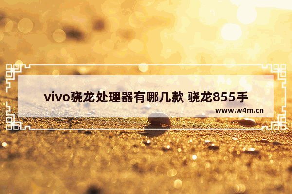 vivo骁龙处理器有哪几款 骁龙855手机推荐性价比高