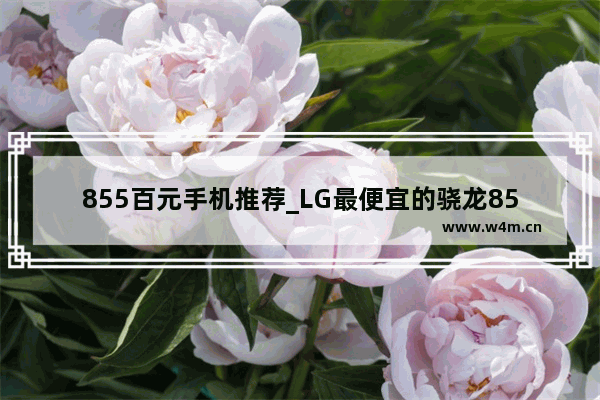 855百元手机推荐_LG最便宜的骁龙855手机