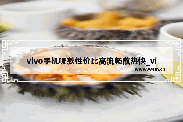 vivo手机哪款性价比高流畅散热快_vivoy78+手机散热怎么样