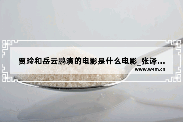 贾玲和岳云鹏演的电影是什么电影_张译沈腾岳云鹏演的什么电影