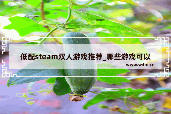 低配steam双人游戏推荐_哪些游戏可以pc双手柄玩