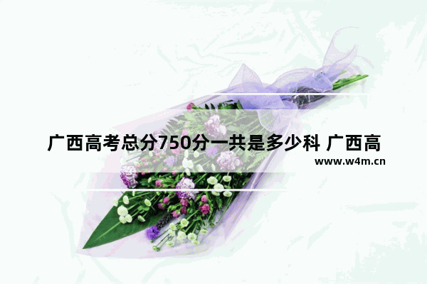 广西高考总分750分一共是多少科 广西高考分数线文理科