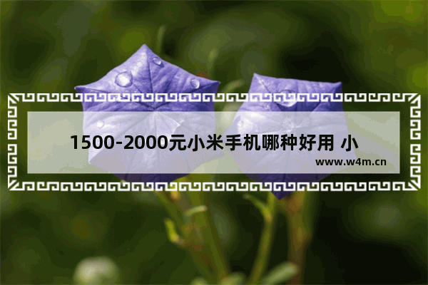 1500-2000元小米手机哪种好用 小米手机两千元预算手机推荐哪个