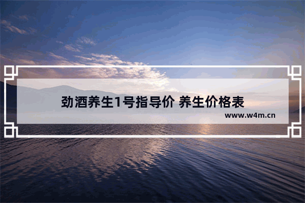 劲酒养生1号指导价 养生价格表