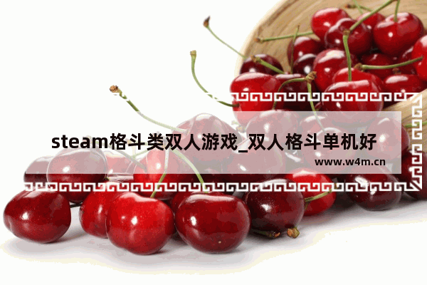 steam格斗类双人游戏_双人格斗单机好玩的游戏有那些 请告诉我 谢谢