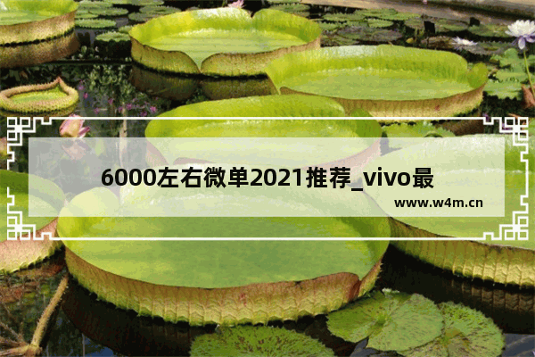 6000左右微单2021推荐_vivo最贵三款手机