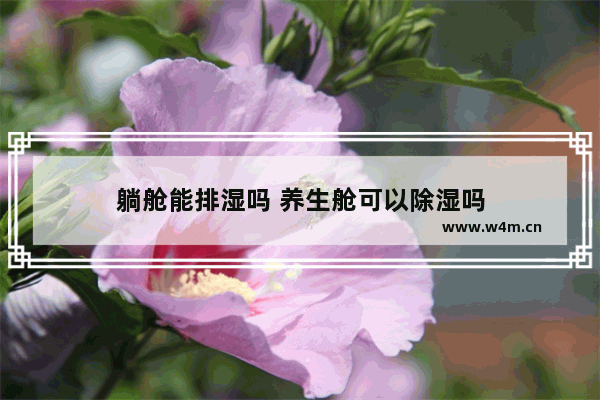 躺舱能排湿吗 养生舱可以除湿吗