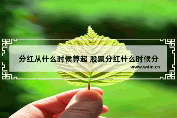 分红从什么时候算起 股票分红什么时候分