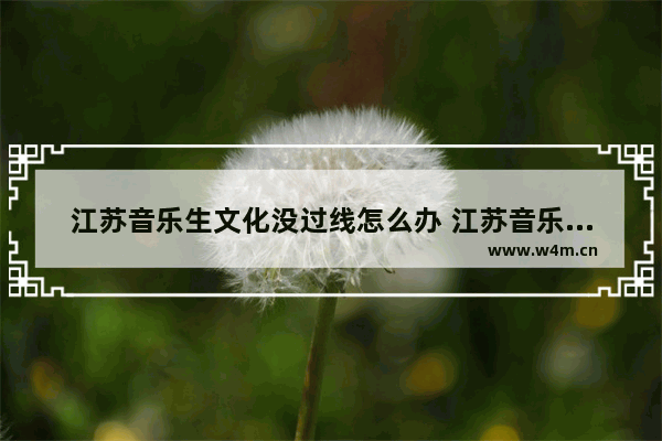 江苏音乐生文化没过线怎么办 江苏音乐生高考分数线问答