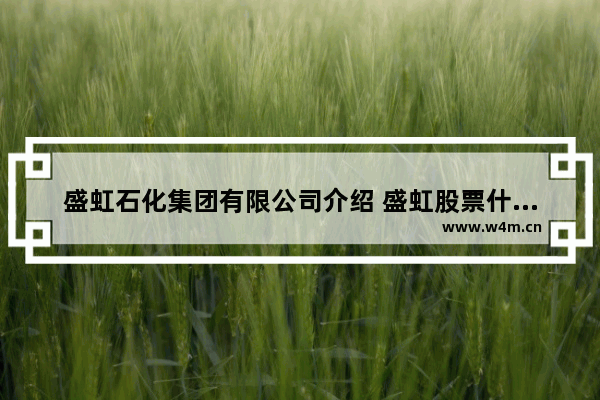 盛虹石化集团有限公司介绍 盛虹股票什么时候上市