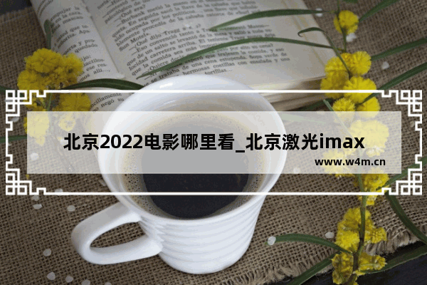 北京2022电影哪里看_北京激光imax影厅有几家