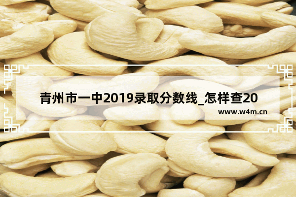 青州市一中2019录取分数线_怎样查2020青州中考分数线