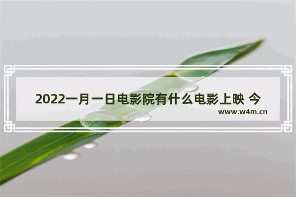 2022一月一日电影院有什么电影上映 今天上映最新电影有哪些电影名字呢