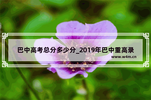 巴中高考总分多少分_2019年巴中重高录取分数线