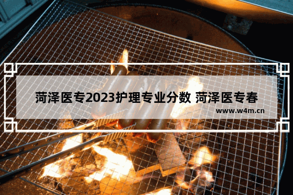 菏泽医专2023护理专业分数 菏泽医专春季高考分数线