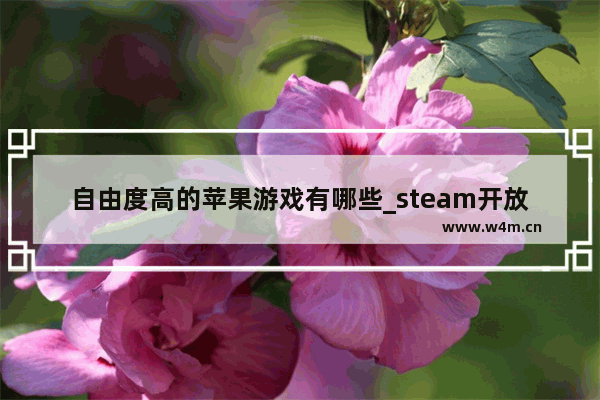 自由度高的苹果游戏有哪些_steam开放度自由度最高的游戏