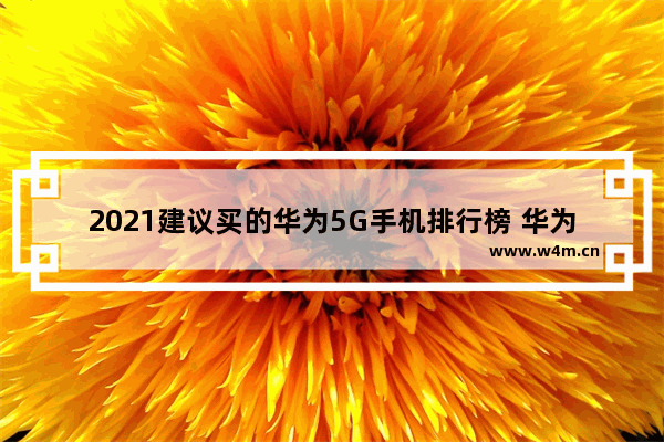 2021建议买的华为5G手机排行榜 华为系列手机推荐排行榜最新版