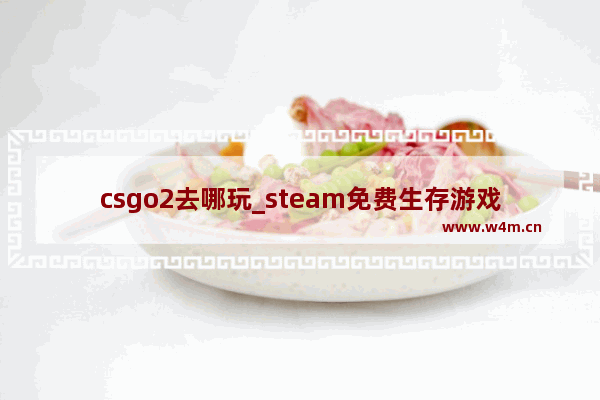 csgo2去哪玩_steam免费生存游戏推荐枪战