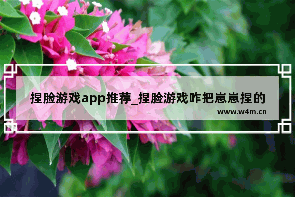 捏脸游戏app推荐_捏脸游戏咋把崽崽捏的好看