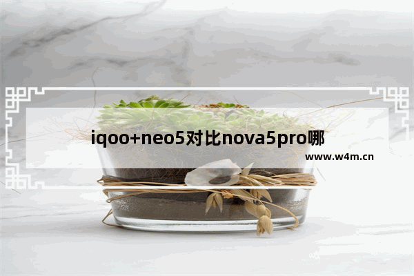 iqoo+neo5对比nova5pro哪个更值得入手 华为5寸左右手机推荐排行榜最新款