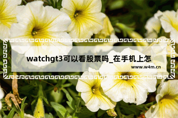 watchgt3可以看股票吗_在手机上怎么看股票大盘