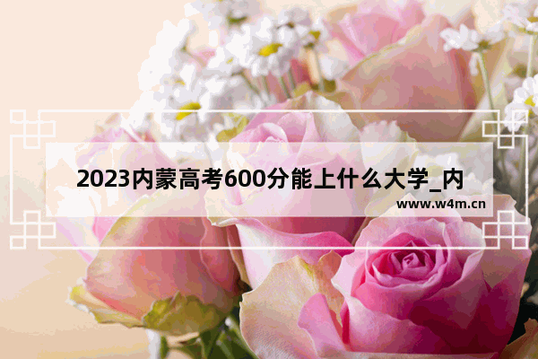 2023内蒙高考600分能上什么大学_内蒙考生理科439能上哪些大学