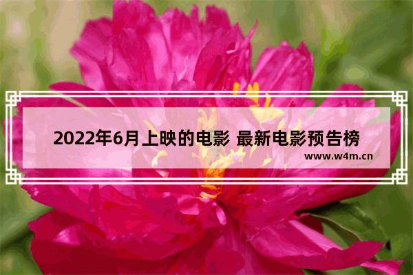 2022年6月上映的电影 最新电影预告榜排名