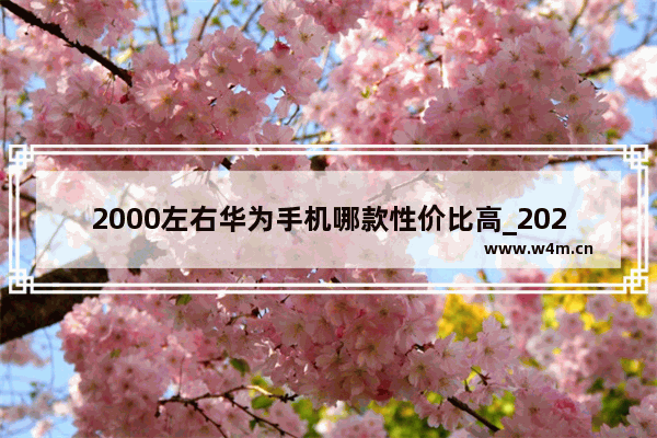 2000左右华为手机哪款性价比高_2021年华为二手机哪款性价比高