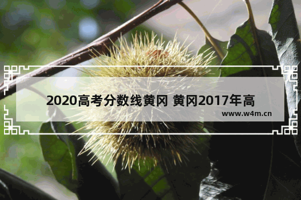 2020高考分数线黄冈 黄冈2017年高考分数线