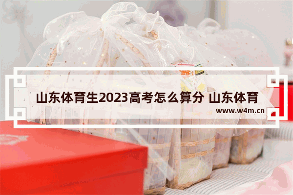 山东体育生2023高考怎么算分 山东体育高考分数线是多少