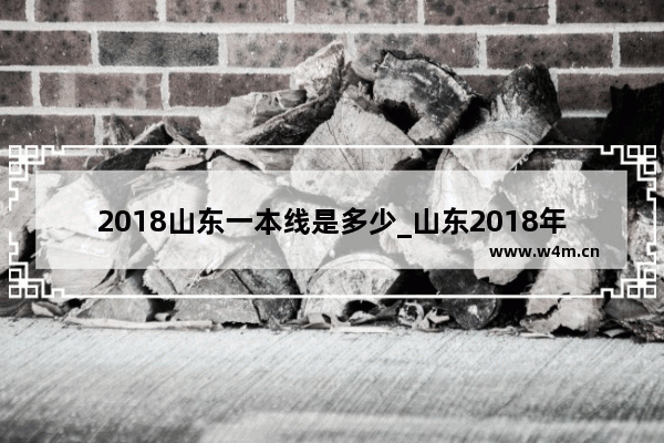 2018山东一本线是多少_山东2018年高考分数线