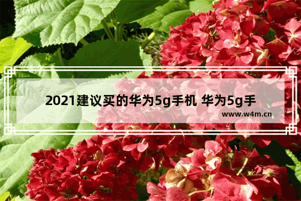 2021建议买的华为5g手机 华为5g手机推荐 排行榜最新