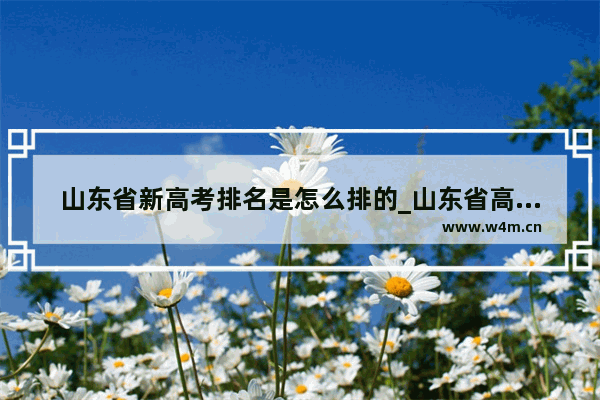 山东省新高考排名是怎么排的_山东省高考各分数段能上什么学校