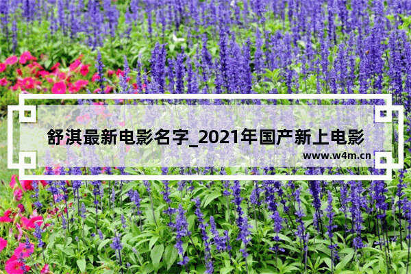 舒淇最新电影名字_2021年国产新上电影