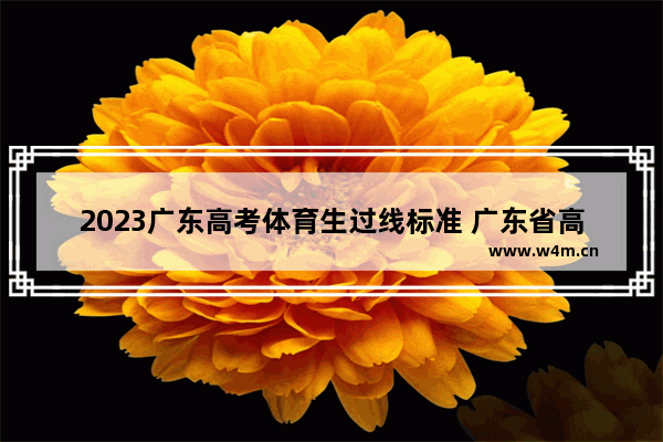 2023广东高考体育生过线标准 广东省高考分数线 体育