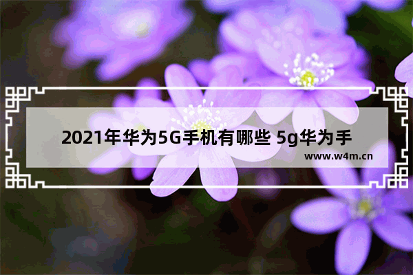 2021年华为5G手机有哪些 5g华为手机推荐排行榜前十名