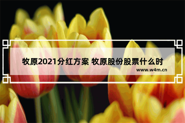 牧原2021分红方案 牧原股份股票什么时候分红